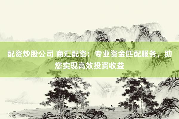 配资炒股公司 商汇配资：专业资金匹配服务，助您实现高效投资收益