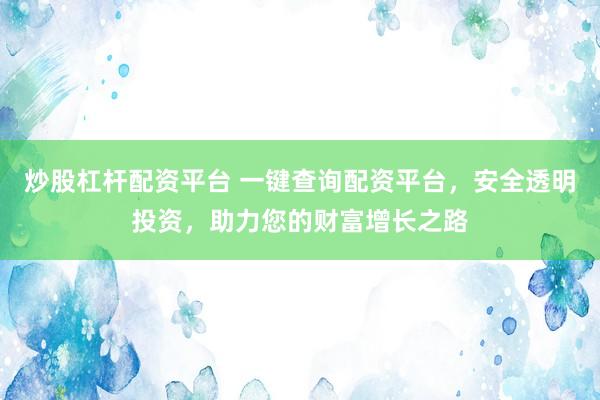 炒股杠杆配资平台 一键查询配资平台，安全透明投资，助力您的财富增长之路