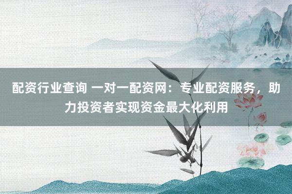 配资行业查询 一对一配资网：专业配资服务，助力投资者实现资金最大化利用