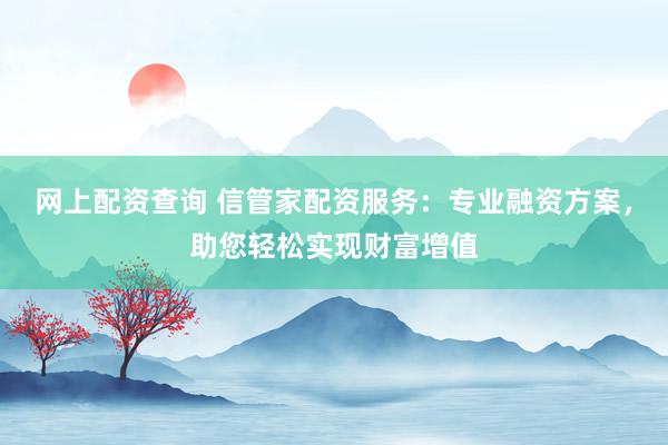 网上配资查询 信管家配资服务：专业融资方案，助您轻松实现财富增值
