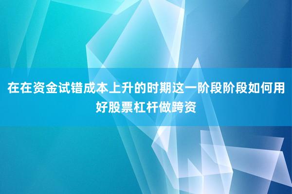 在在资金试错成本上升的时期这一阶段阶段如何用好股票杠杆做跨资