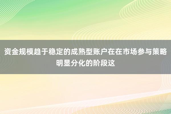 资金规模趋于稳定的成熟型账户在在市场参与策略明显分化的阶段这