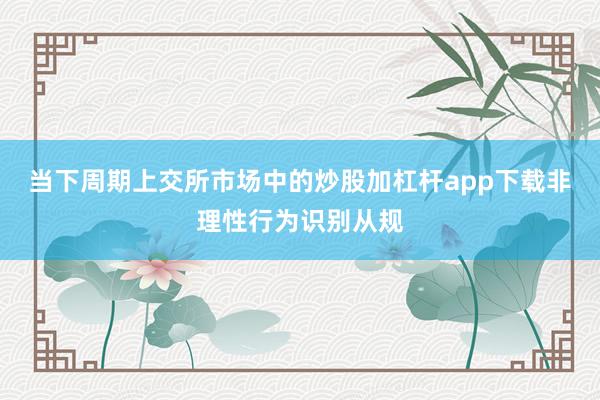 当下周期上交所市场中的炒股加杠杆app下载非理性行为识别从规