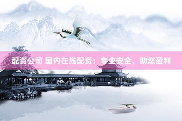 配资公司 国内在线配资：专业安全，助您盈利